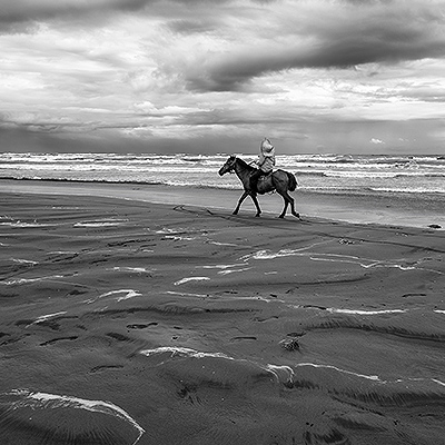 گالری داری به افراد متخصص و با آگاهی مناسب نیاز دارد