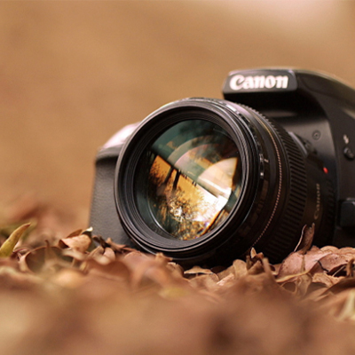 ور و نقش در قاب دوربین عکاسان حوزه هنری فارس