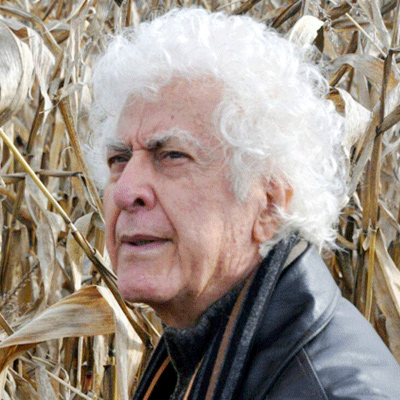 آثار هنری خلاقانه نباید درگیر فرمولهای بازار شوند